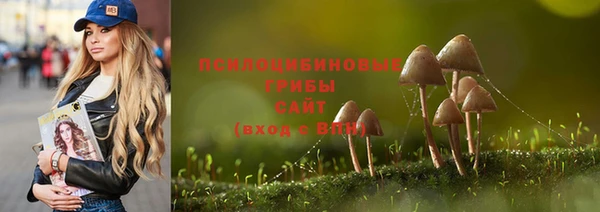 дурь Арсеньев