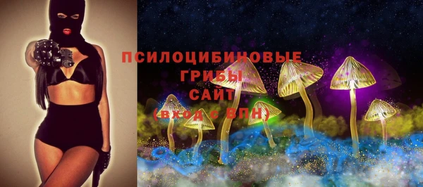 дурь Арсеньев