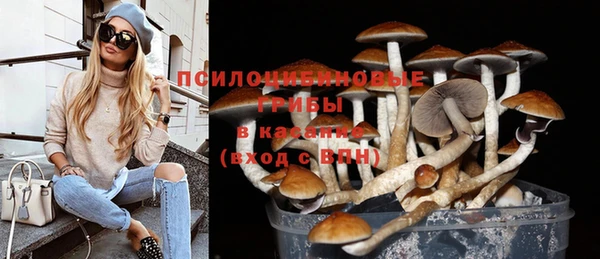 дурь Арсеньев