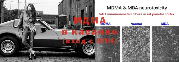 дмт Аркадак